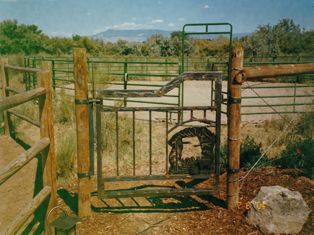 Custom Horse Gate